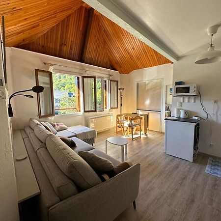 Appartement Borderes-Louron 1 A 3 Personnes 3 Etoiles, Proche Loudenvielle المظهر الخارجي الصورة